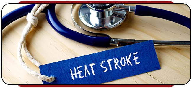 Heat Stroke Treatment Specialist Near Me in Rocky Mount, NC Heat Stroke Treatment Specialist Near Me in Rocky Mount, NC